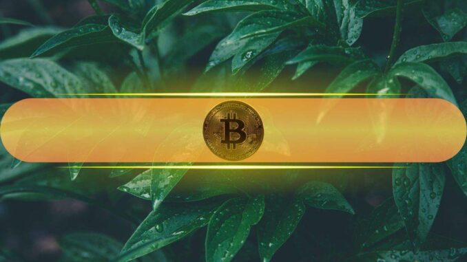 And Where Bitcoin Fits In?