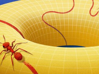 Behold the Manifold, the Concept that Changed How Mathematicians View Space