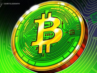 Bitcoin Cash Becomes Year’s Best-Performing L1 With 40% Gain