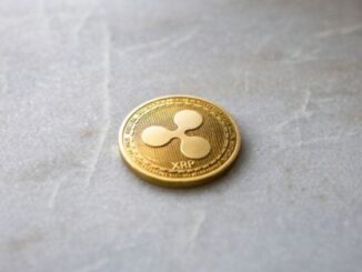 Ripple-backed Evernorth faces $220M drawdown as XRP struggles