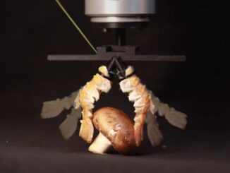 Robot Videos: Biorobotics, Robot EV Charging, and More