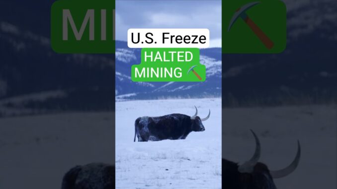 U.S. freeze crashed Bitcoin mining