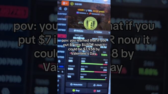 $USOR #crypto #memecoin #cryptocurrency #cryptonews #solana #memecoins