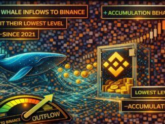XRP Whale Inflows To Binance Hit Their Lowest Level Since 2021: Accumulation Behavior?