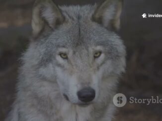 AI news hallucinations are dangerous to reality