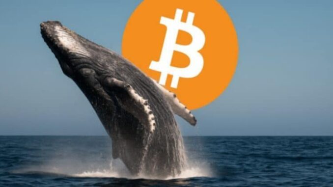 Bitcoin whale Garrett Jin sends $761 million in BTC to Binance