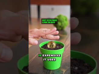 What Is Bitcoin Mining? Simple Beginner Guide (Costs & Risk)