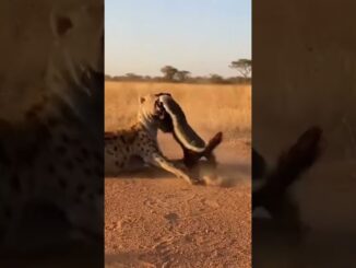 What is Artificial Intelligence? | AI Explained for Beginners | DarkZone AI