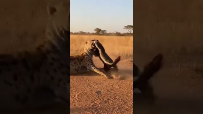 What is Artificial Intelligence? | AI Explained for Beginners | DarkZone AI