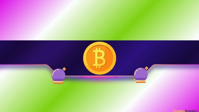 Analysts Speculate Where the Price Could Go Next