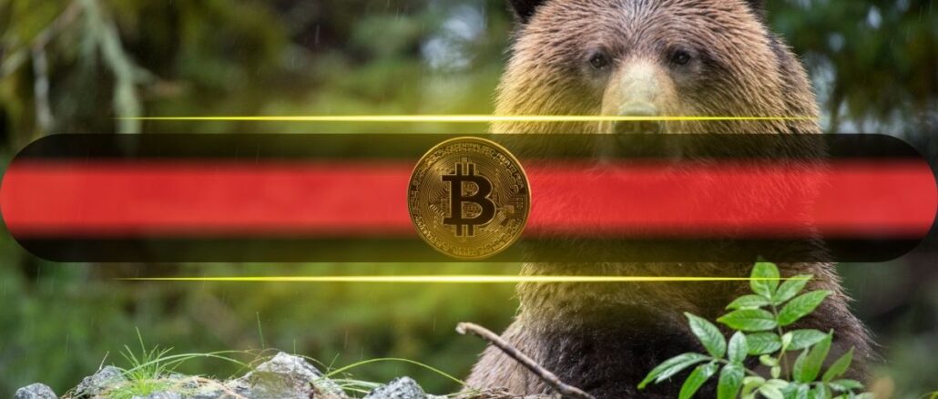 Bitcoin (BTC) Floor at $46K? Willy Woo Says Macro Risks Could Push It Lower