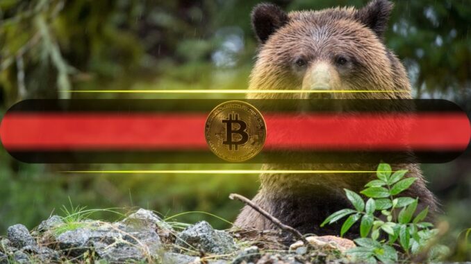 Bitcoin (BTC) Floor at $46K? Willy Woo Says Macro Risks Could Push It Lower