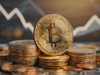 Pundit Shares Everything To Understand About Bitcoin, ‘This Cycle IS Different’