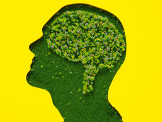 AI on the couch: Anthropic gives Claude 20 hours of psychiatry