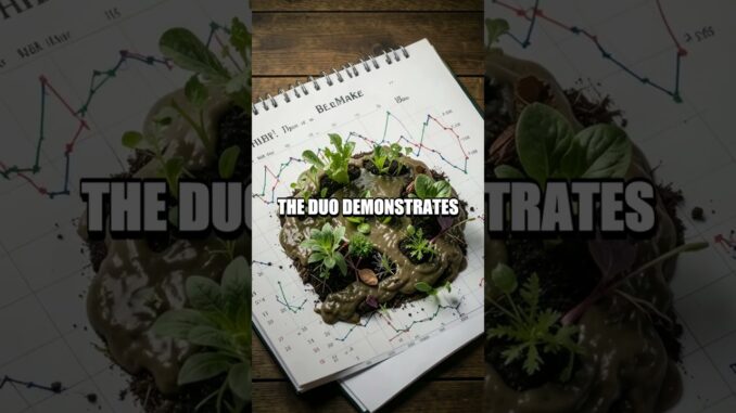 Crypto Investment Lab Real World Scenarios for Beginners