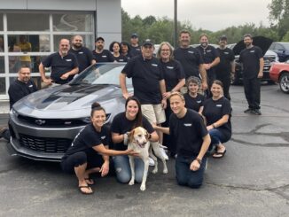 Local car dealerships growing, dying amid rise of mega auto retailers