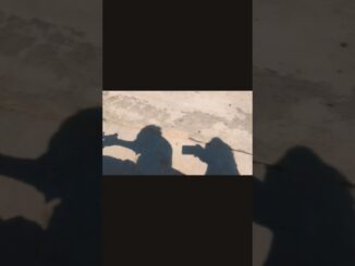 mini vlog #bhojpuri #bhojpurisong #boom #pawansingh #song #ai #news #trp #purab #papri #parulchauhan