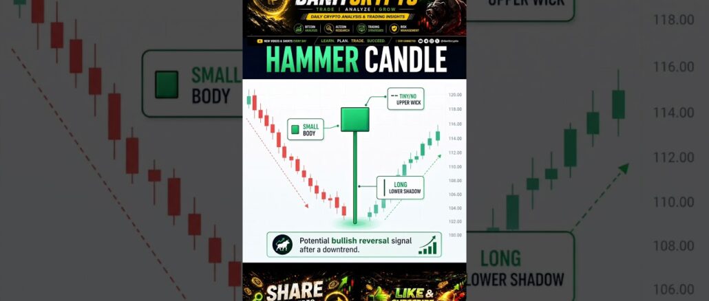 Basic of Hammer Candle for beginners #basic #btc #crypto #candlestick #sharemarket