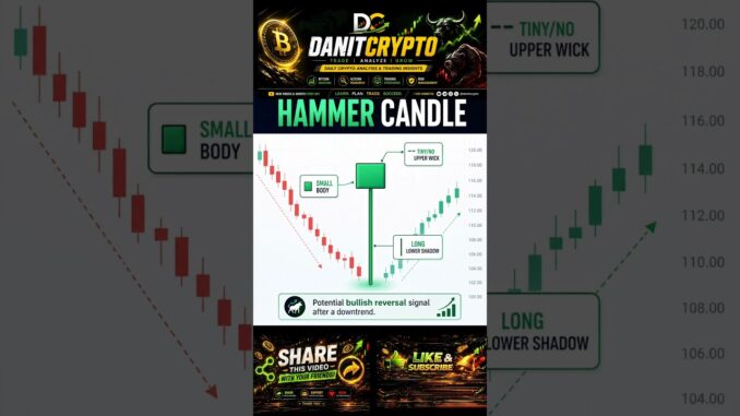Basic of Hammer Candle for beginners #basic #btc #crypto #candlestick #sharemarket