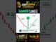 Basic of Hammer Candle for beginners #basic #btc #crypto #candlestick #sharemarket