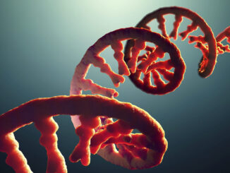 Do you take after your dad’s RNA?
