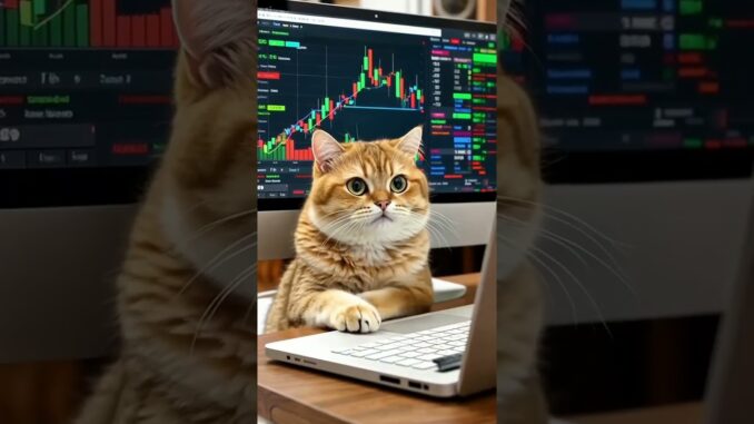 Investing Tips for Beginners #cat #ai #funny #stocks #cute #shorts #aivideo  #short