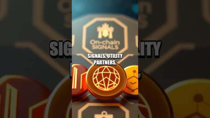 The Hidden Signals That Guide Durable Crypto Bets
