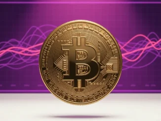 Bitcoin coin with purple and magenta network activity visualization showing bull phase signal