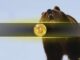 Bitcoin's 'Most Emotional' Bear Market Phase Has Officially Begun: Analyst
