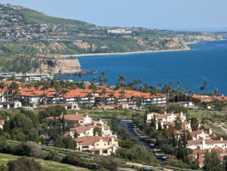 SpaceX millionaires set to spend on luxury homes, watches, travel