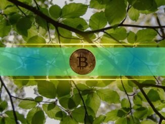 Bitcoin’s Recovery Gains Momentum, Putting July Off to a Strong Start
