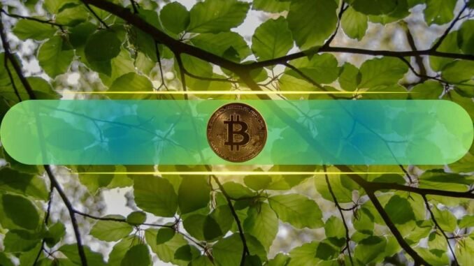 Bitcoin’s Recovery Gains Momentum, Putting July Off to a Strong Start