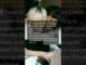 July 27 latest AI news