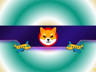 Shiba Inu Team Sets a New Challenge for the SHIB Army: Who Goes First?