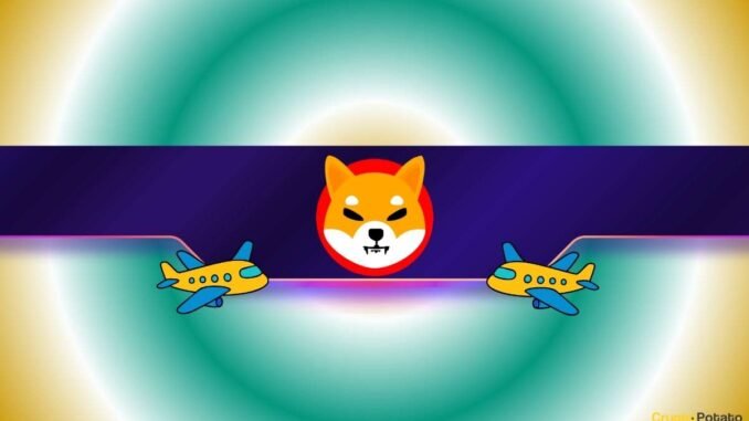 Shiba Inu Team Sets a New Challenge for the SHIB Army: Who Goes First?