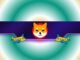 Shiba Inu Team Sets a New Challenge for the SHIB Army: Who Goes First?