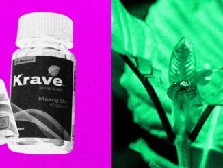The DEA Plans to Ban Opioid-Like Kratom Compound 7-OH