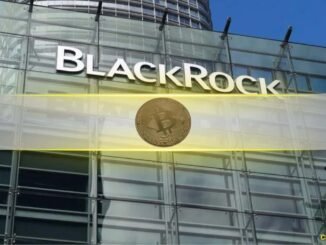 BlackRock Says Bitcoin's 50% Plunge Didn't Break Its Long-Term Investment Case