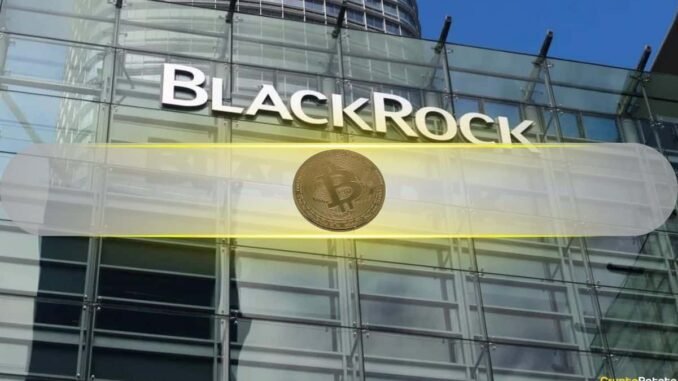 BlackRock Says Bitcoin's 50% Plunge Didn't Break Its Long-Term Investment Case