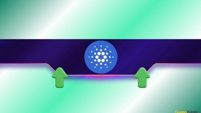 Cardano (ADA) Grabs Traders' Attention After a 20% Weekly Increase: Further Pump Incoming?