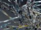 Enterprise AI's real risk isn't autonomous agents. It's the complexity between them.