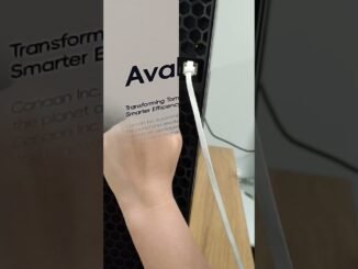 🎁 Gift Idea: Avalon Q Perfect for Crypto Beginners