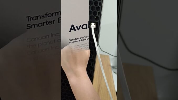 🎁 Gift Idea: Avalon Q Perfect for Crypto Beginners