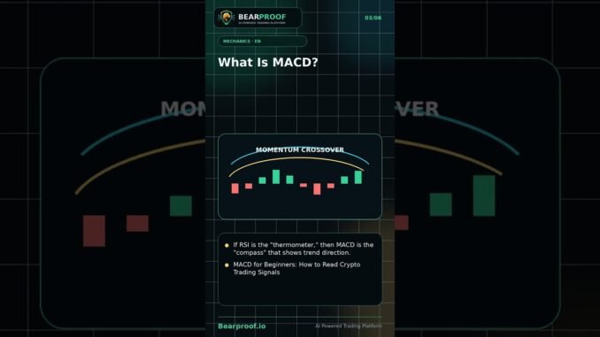 MACD for Beginners: How to Read Crypto Trading Signals | Bearproof