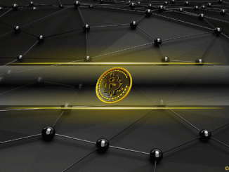 Micro Bitcoin (BTC) Holders Are Vanishing at the Fastest Pace Since December 2024