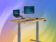 10 Best Standing Desks Worth Buying in 2026