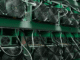 Ethiopia’s Bitcoin Mining Boom Just Ran Into a Water Problem