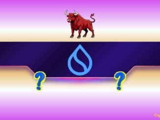 Has the Bull Market Begun?