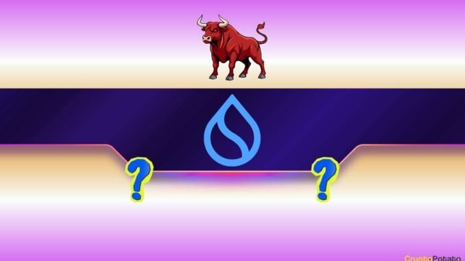 Has the Bull Market Begun?