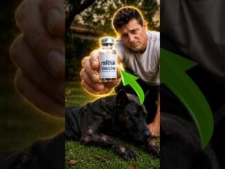 He Built a Dog Vaccine Using AI  || #ai #ainews #aishorts #stories #business #startups